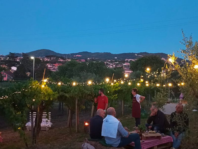 Aperivigna-tenimento-casamara9